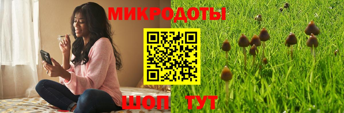 Галлюциногенные грибы Psilocybine cubensis Элиста