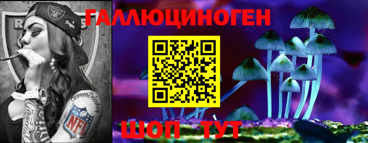 Псилоцибиновые грибы прущие грибы  Вход с VPN  Элиста 